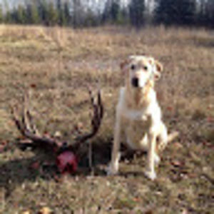 Meet your Posher, Ben